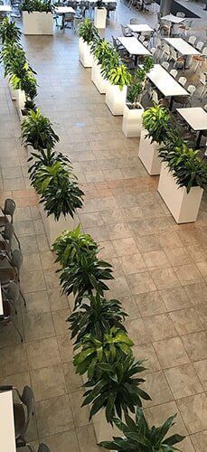 Indoor hallway with potted green plants lining a tiled floor beside white seating booths