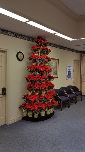Tall red poinsettia display in a hallway with beige walls, blue carpet, and chairs along the right side.