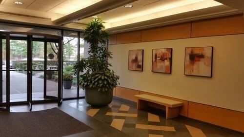 Empty office lobby with glass doors, potted tree, bench, and framed wall art