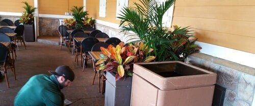 Covered patio with potted plants, tables and chairs, and a person crouching near the floor.