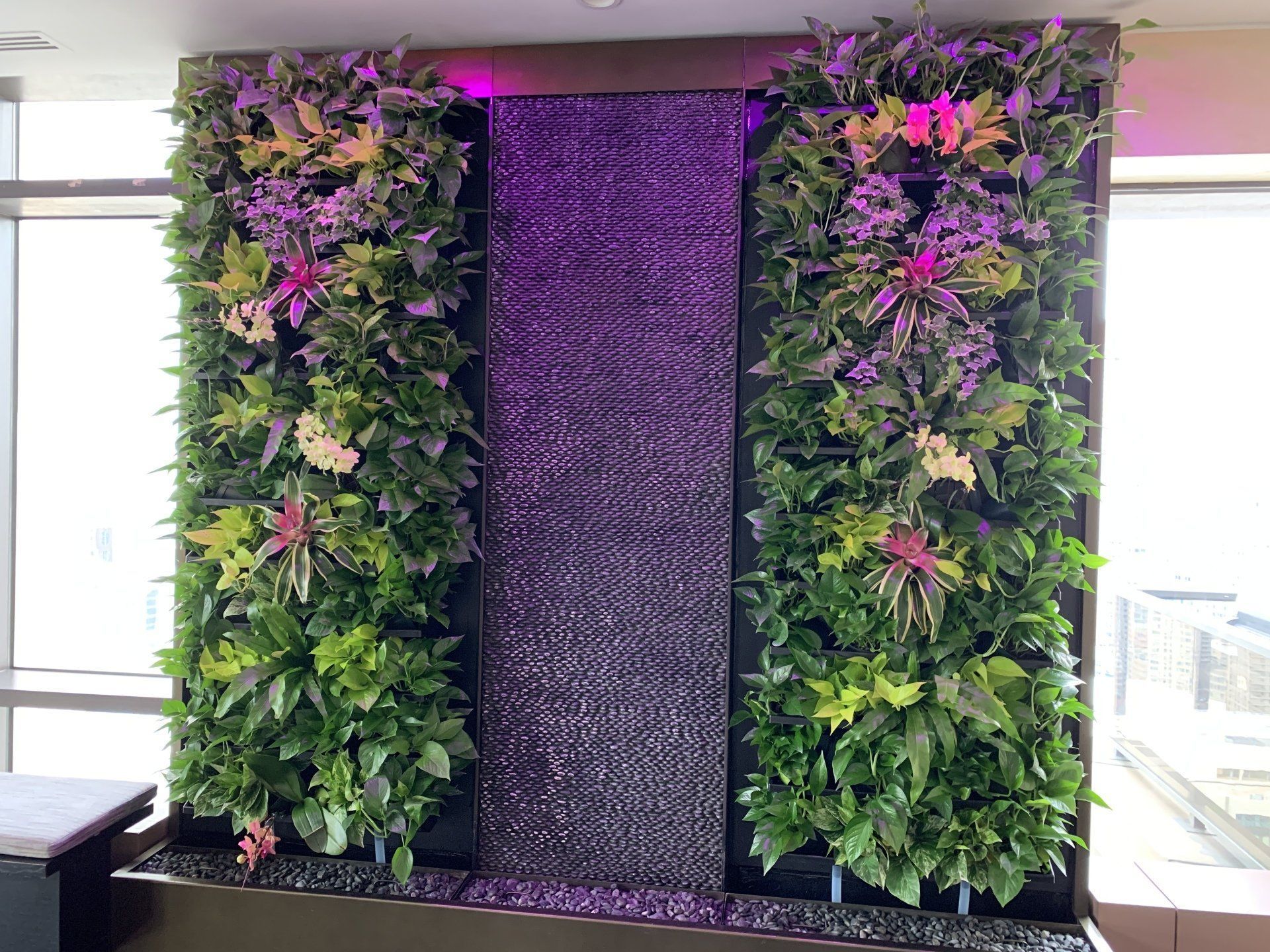 Indoor Plant Wall
