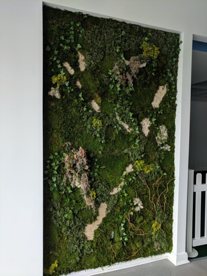 Moss Wall Installation Moss Wall Installation