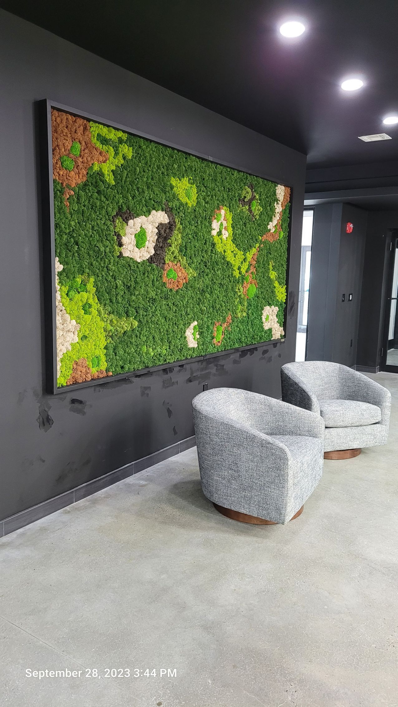 Custom Preserved Reindeer Moss Wall