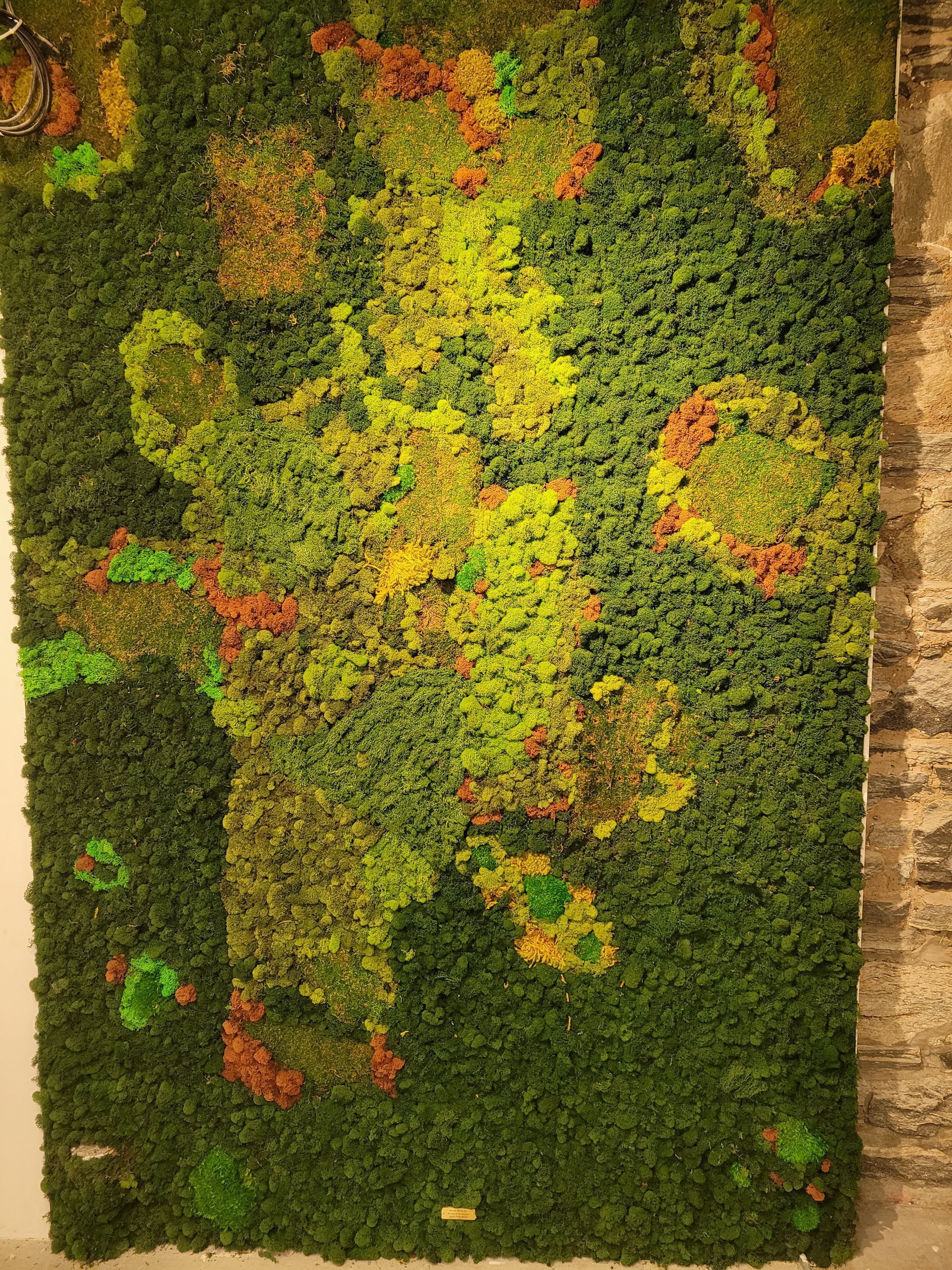Preserved Moss Panels
