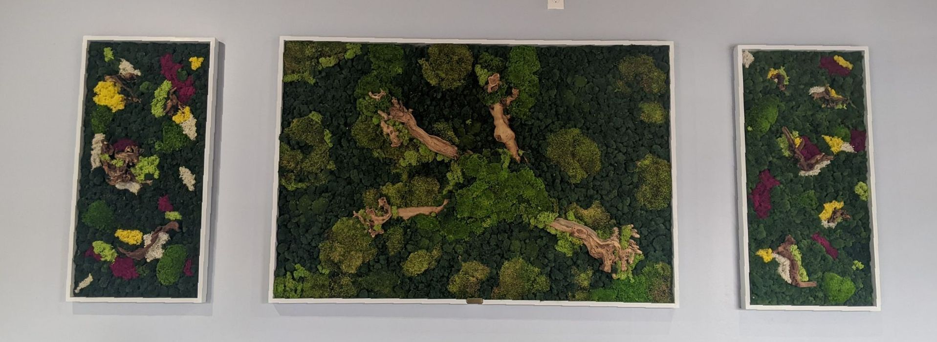 Moss Wall Art Panels