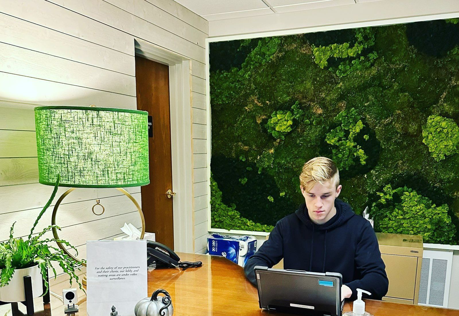 Commercial Moss Wall