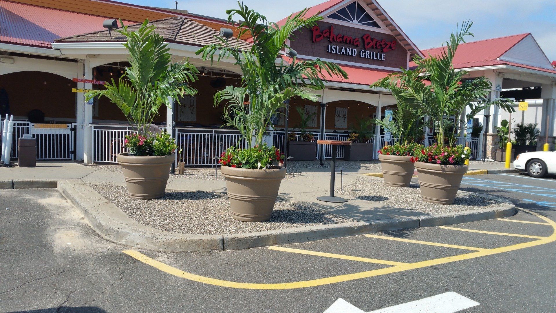 Front of a red-roofed building with potted palms and a handicap parking area in the foreground