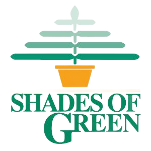 Shades of Green Shades of Green