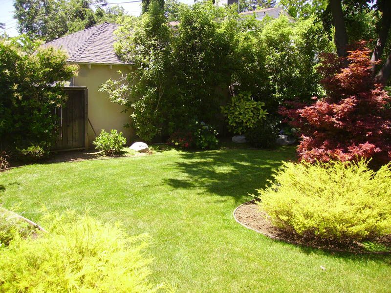 A lush green yard with a house in the background
