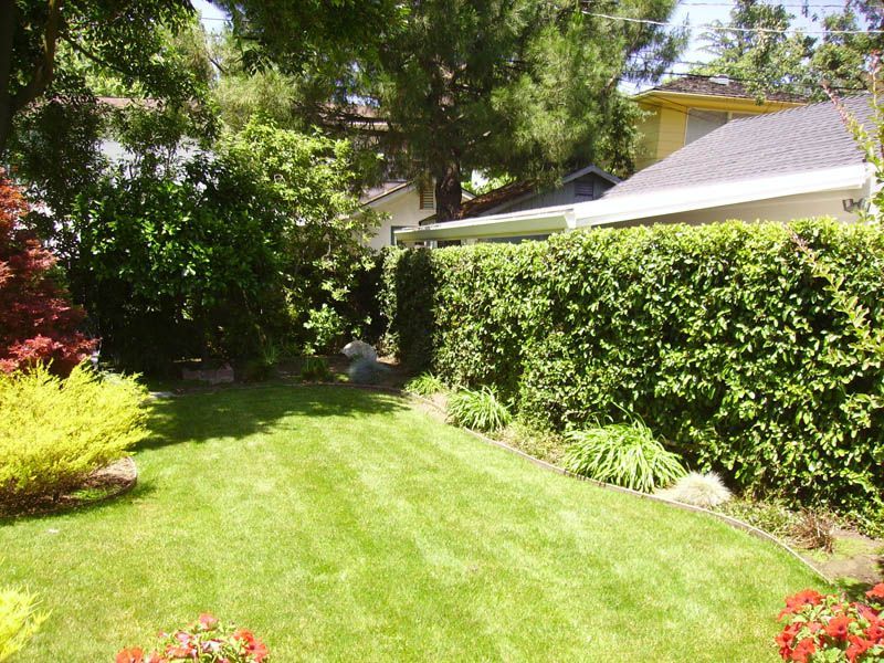 A lush green yard with a house in the background