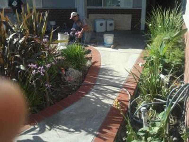 A man is working on a sidewalk in a garden.