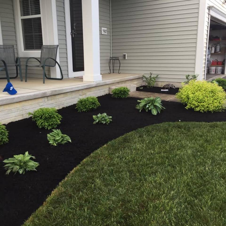 Front yard with green lawn and dark mulch flower bed with various green plants. House with gray siding.