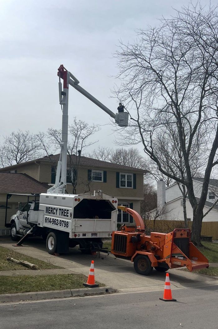 A white tree service truck with a bucket lift trimming a tree; a wood chipper is next to it.