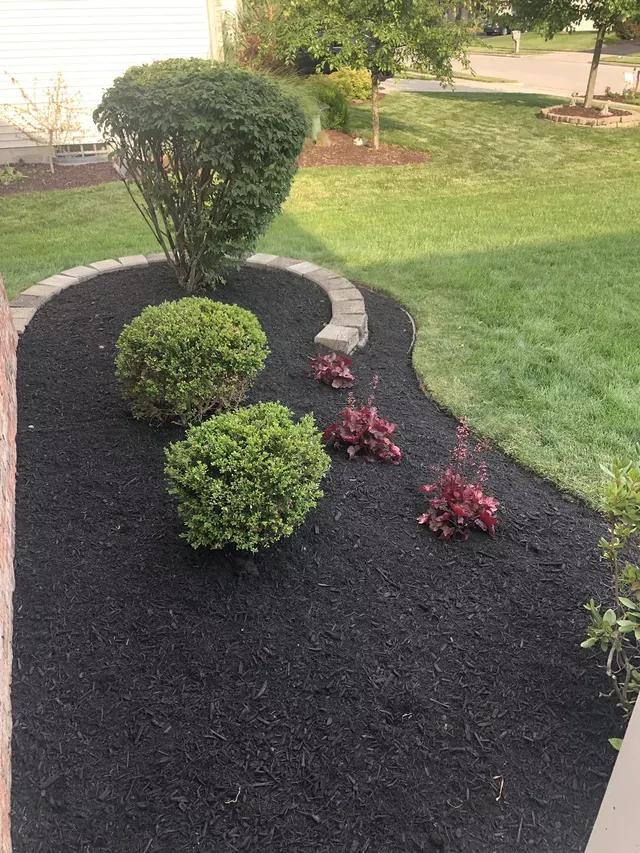 Black mulch flower bed with green bushes and red plants. Curved border of stone.