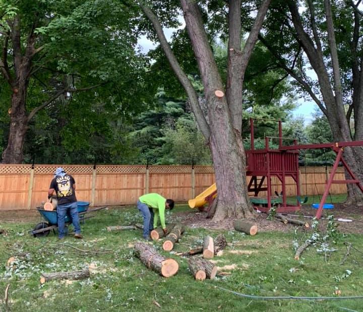 Two workers cutting tree branches in a backyard, near a playground and fence.