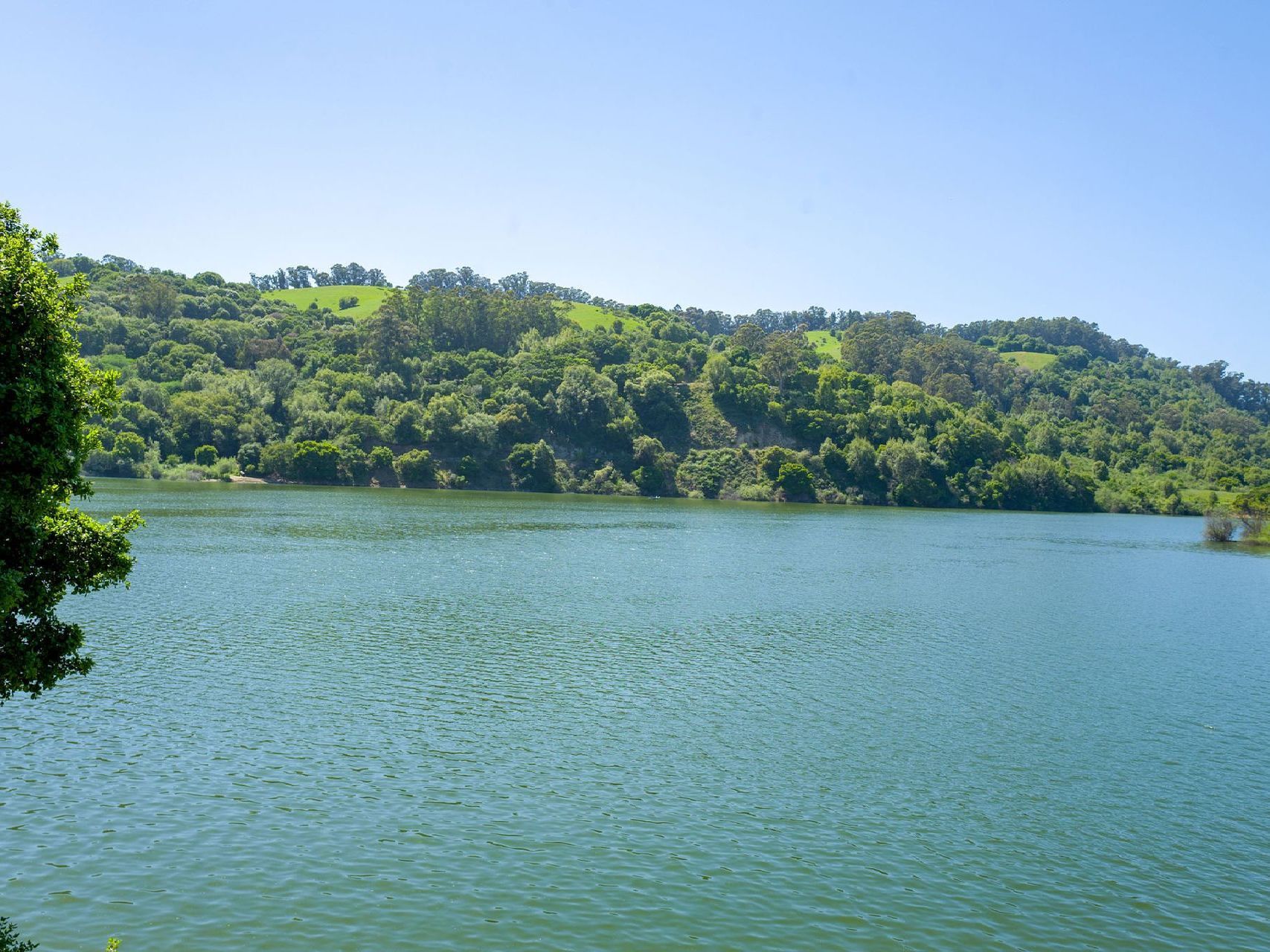 Lake Chabot