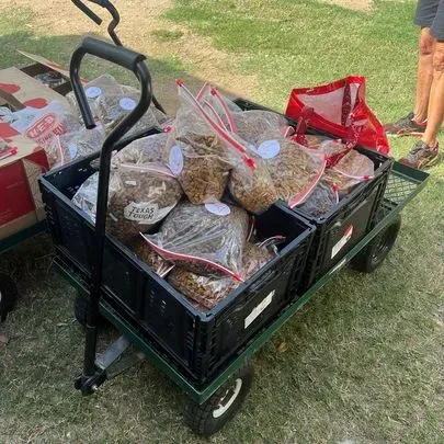 Sharing The Harvest