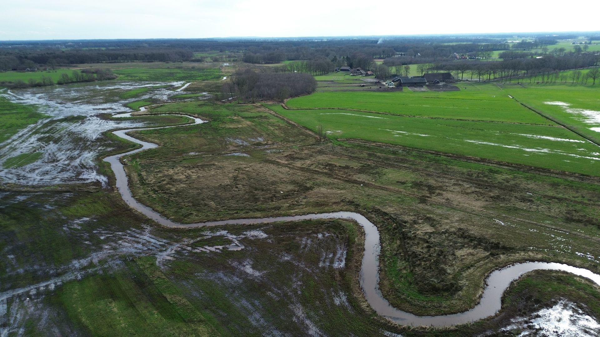 Luchtfoto van een kronkelende rivier door een ondergelopen groen veld en een donker bos.