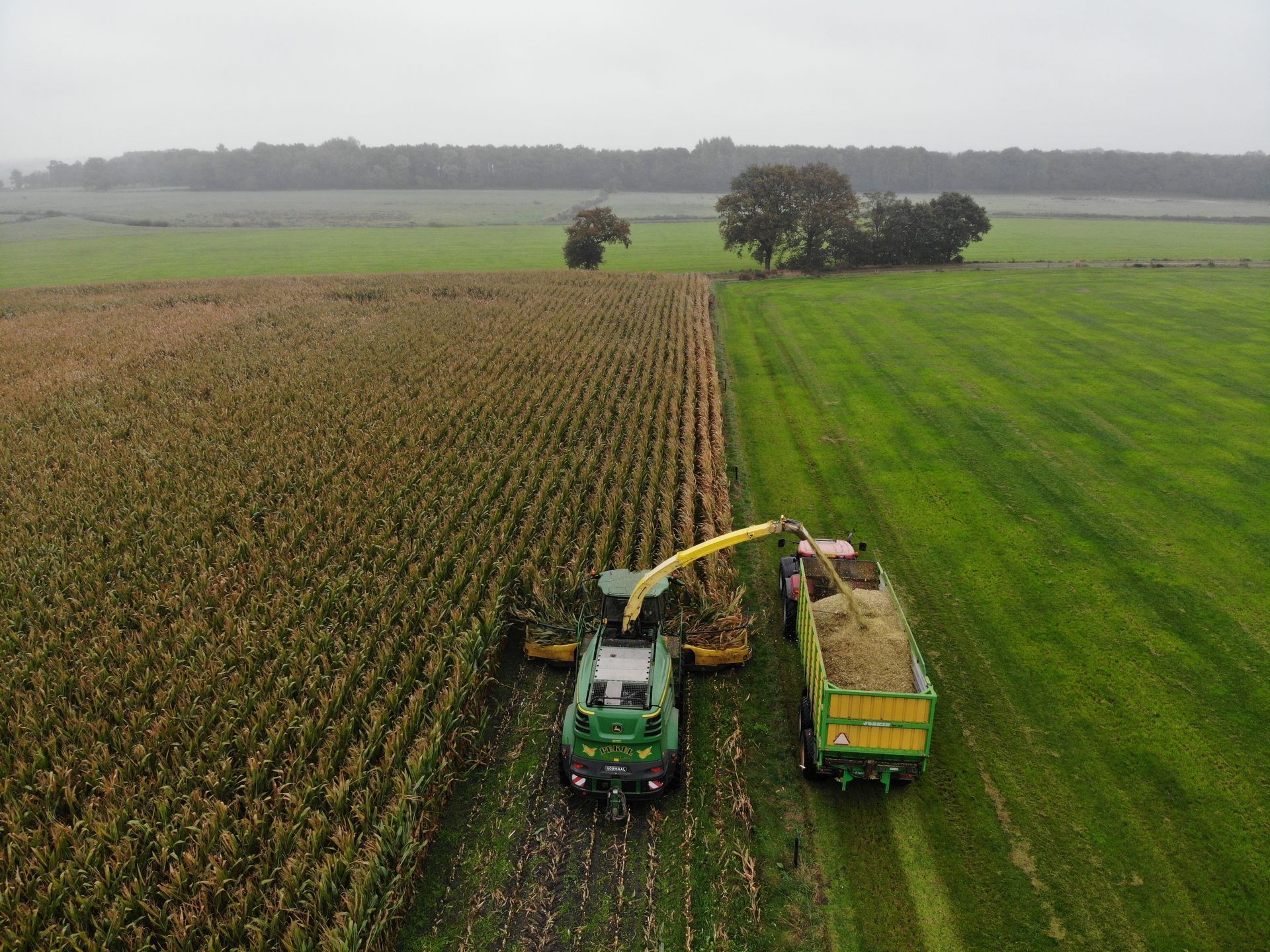 Een maïsoogstmachine op een veld lost de maïs in een aanhanger. Groene en bruine tinten, bewolkte lucht.