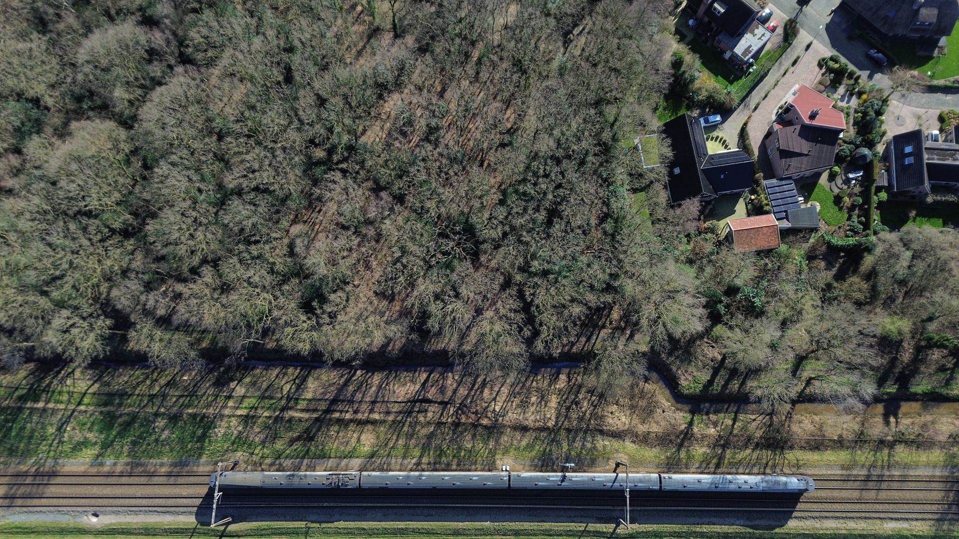 Luchtfoto: Trein op spoorlijn naast een bos en huizen.