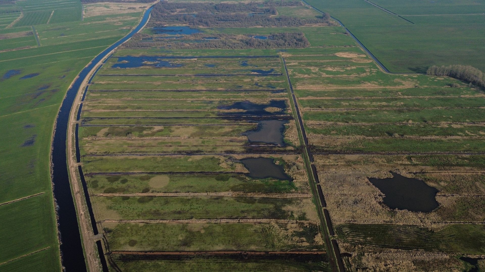 Luchtfoto met drone van moerras gebied