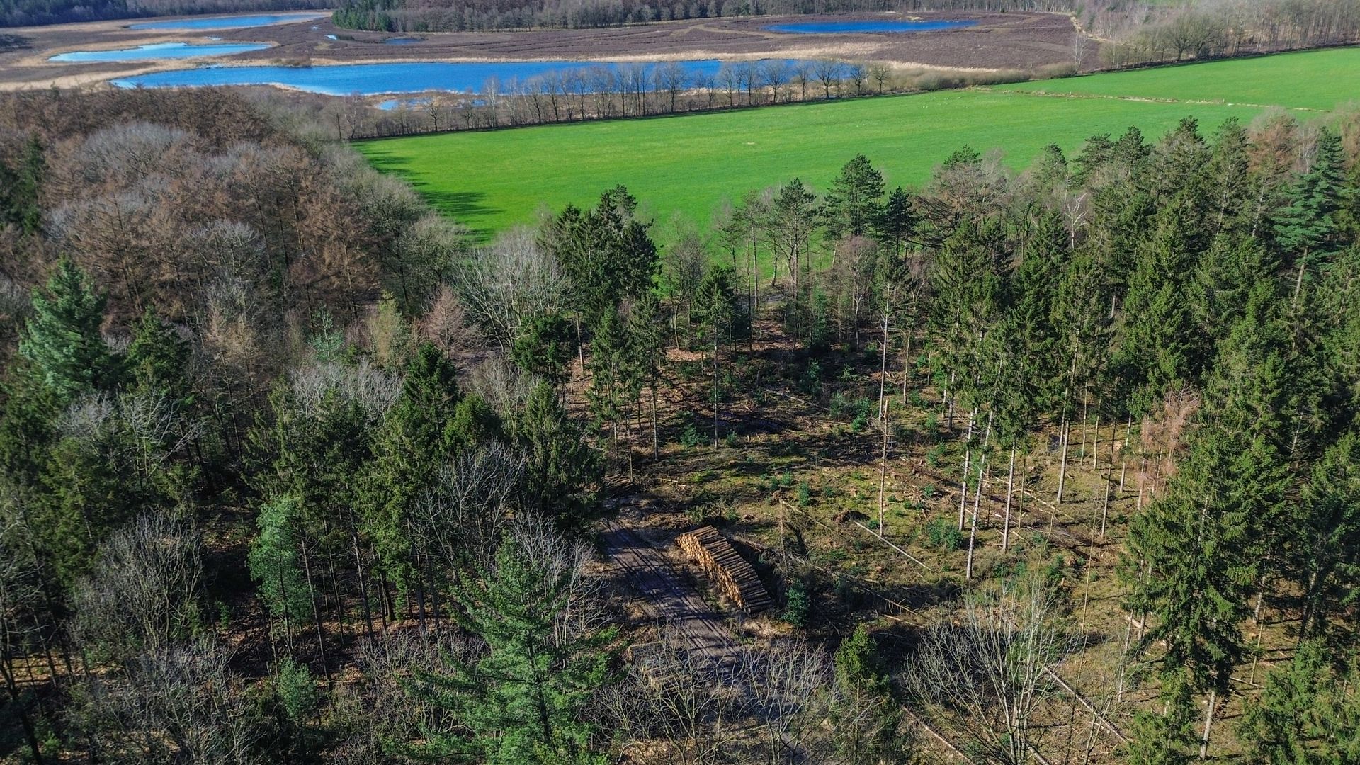 Bovenaanzicht van een bos met een open plek in het midden, een heldergroen veld en een meer op de achtergrond.