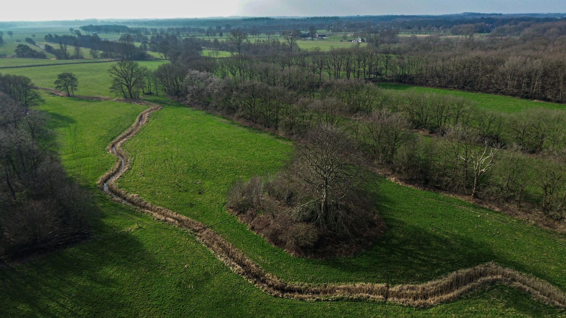 Groene weide met een kronkelend beekje, omzoomd door bomen en in de verte een boomgrens te zien op een zonnige dag.