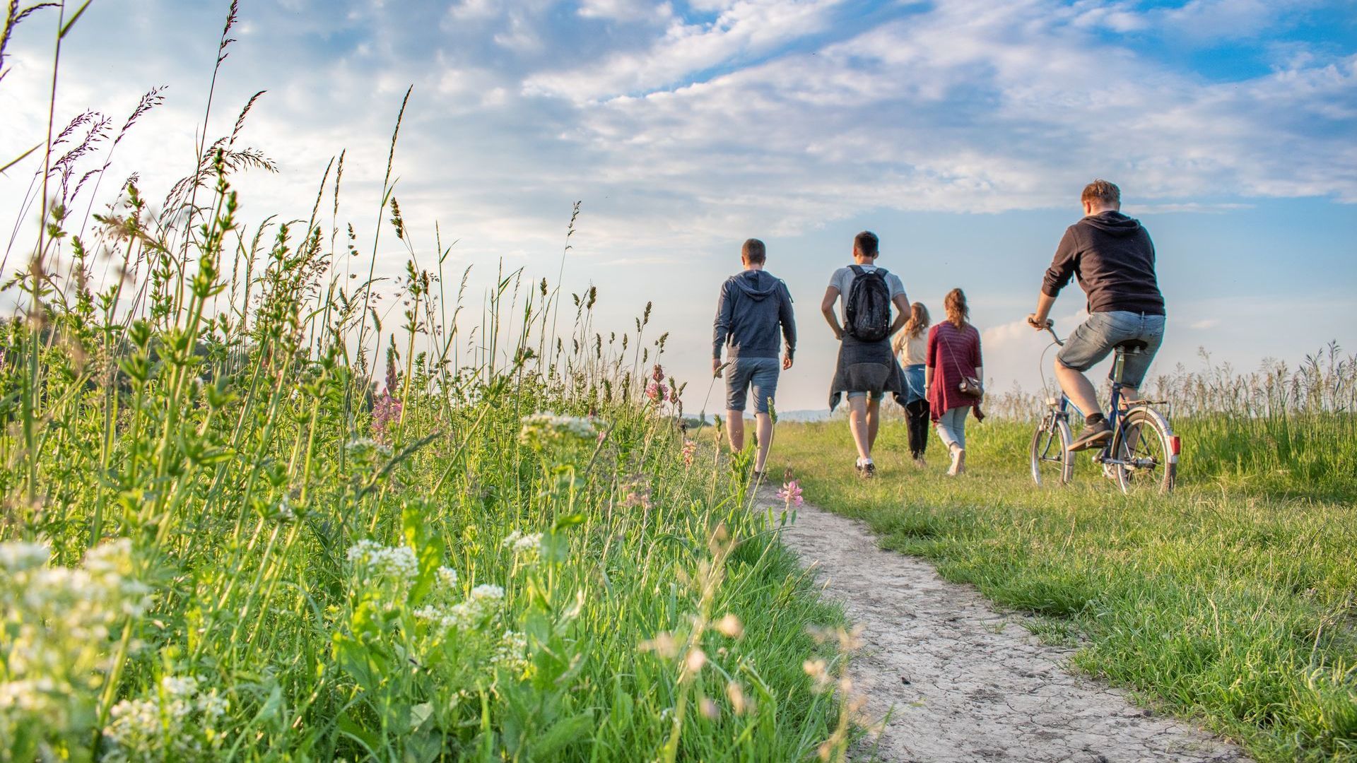 group of people on a trail hike