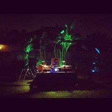 DJ setup outdoors at night with green lights on the palm trees.