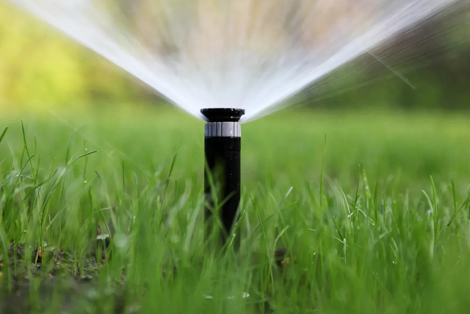 A sprinkler is spraying water on a lush green lawn.