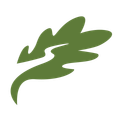 Green oak leaf with winding white line.