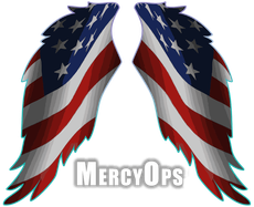 A pair of american flag wings with the words mercyops below them