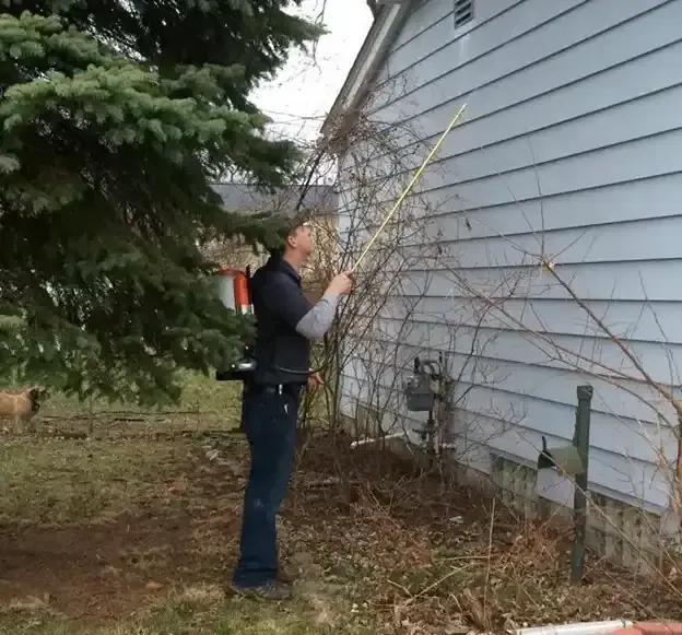 Person measures the side of a light blue house, surrounded by bushes, with a tree to the left.