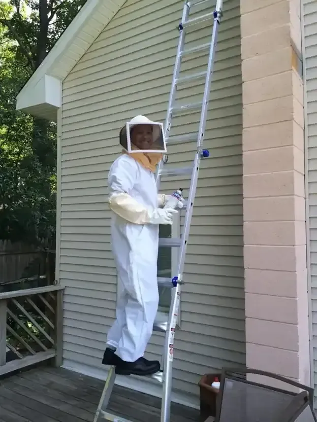 Person in beekeeping suit on ladder near house, inspecting or removing something.
