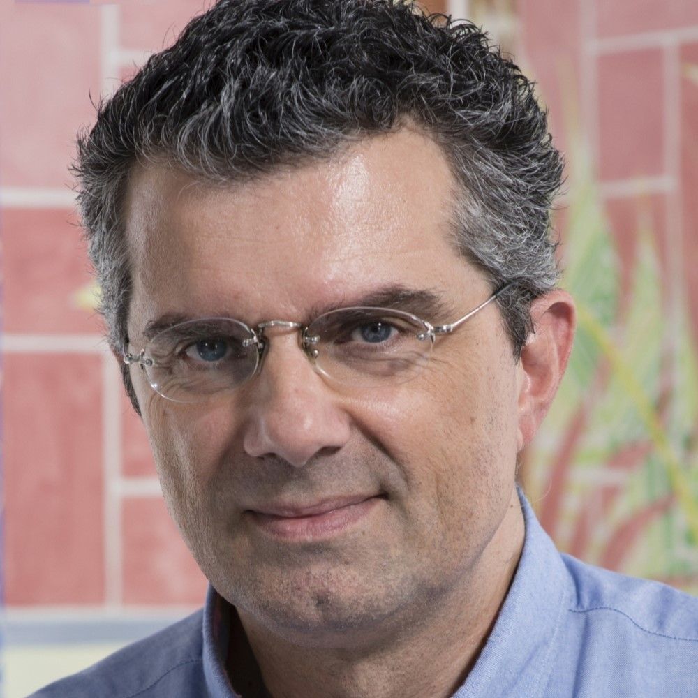 Yannis Koutsomitis