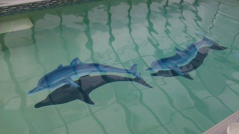 Deux dauphins sont peints sur le sol d'une piscine.