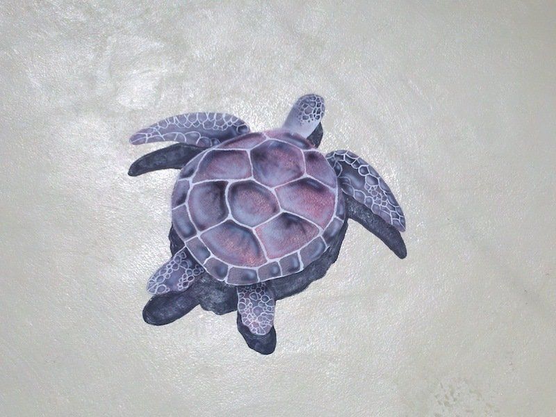 Une peinture d'une tortue de mer sur un mur.