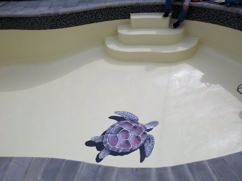 Piscine récemment refaite avec un motif de tortue au fond, des marches sur un côté et des carreaux de bordure foncés.