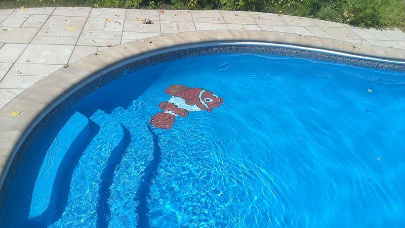 Une piscine bleue avec un motif de poisson-clown en mosaïque au fond.