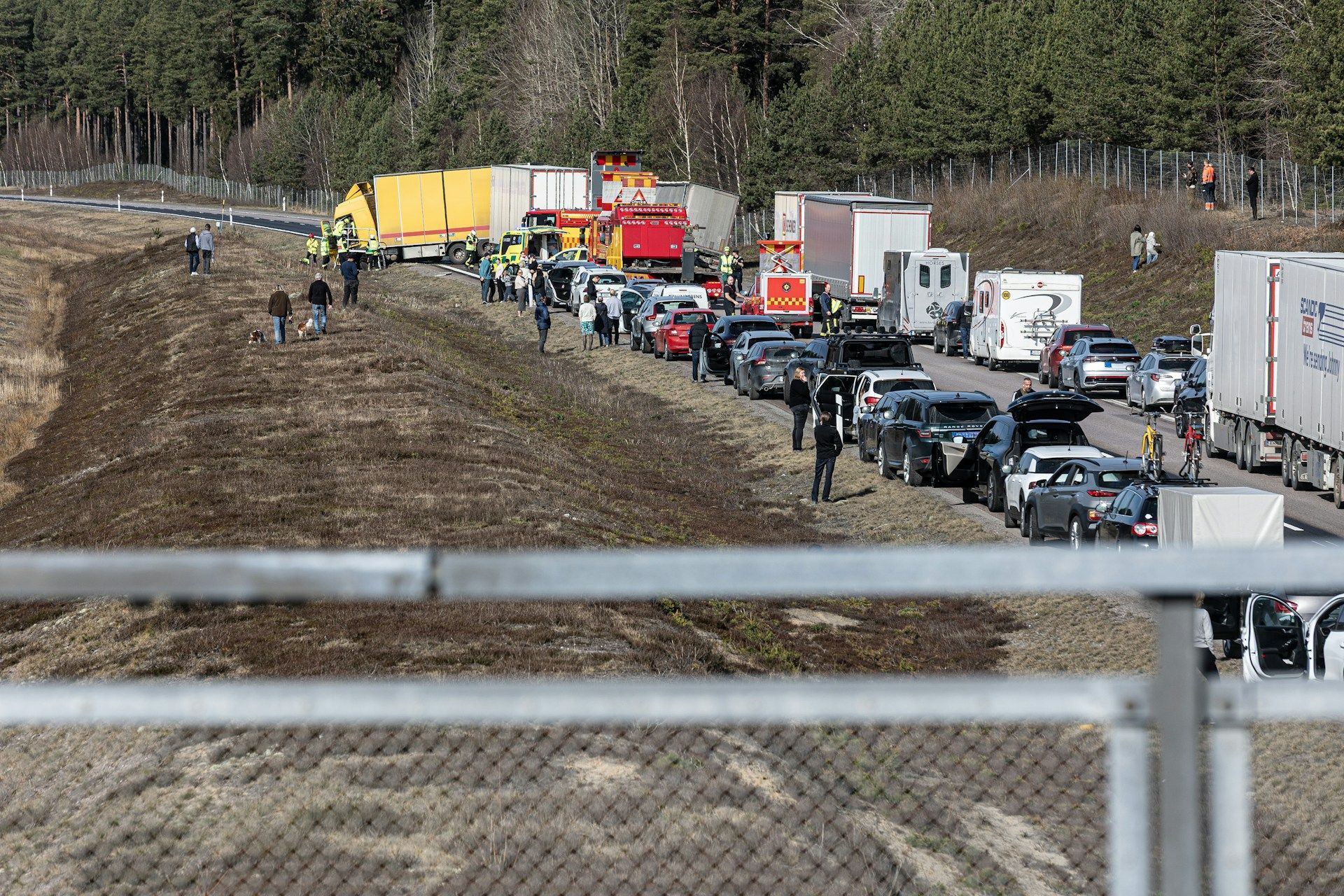 Long line of cars and trucks waiting at a roadside checkpoint in a wooded area