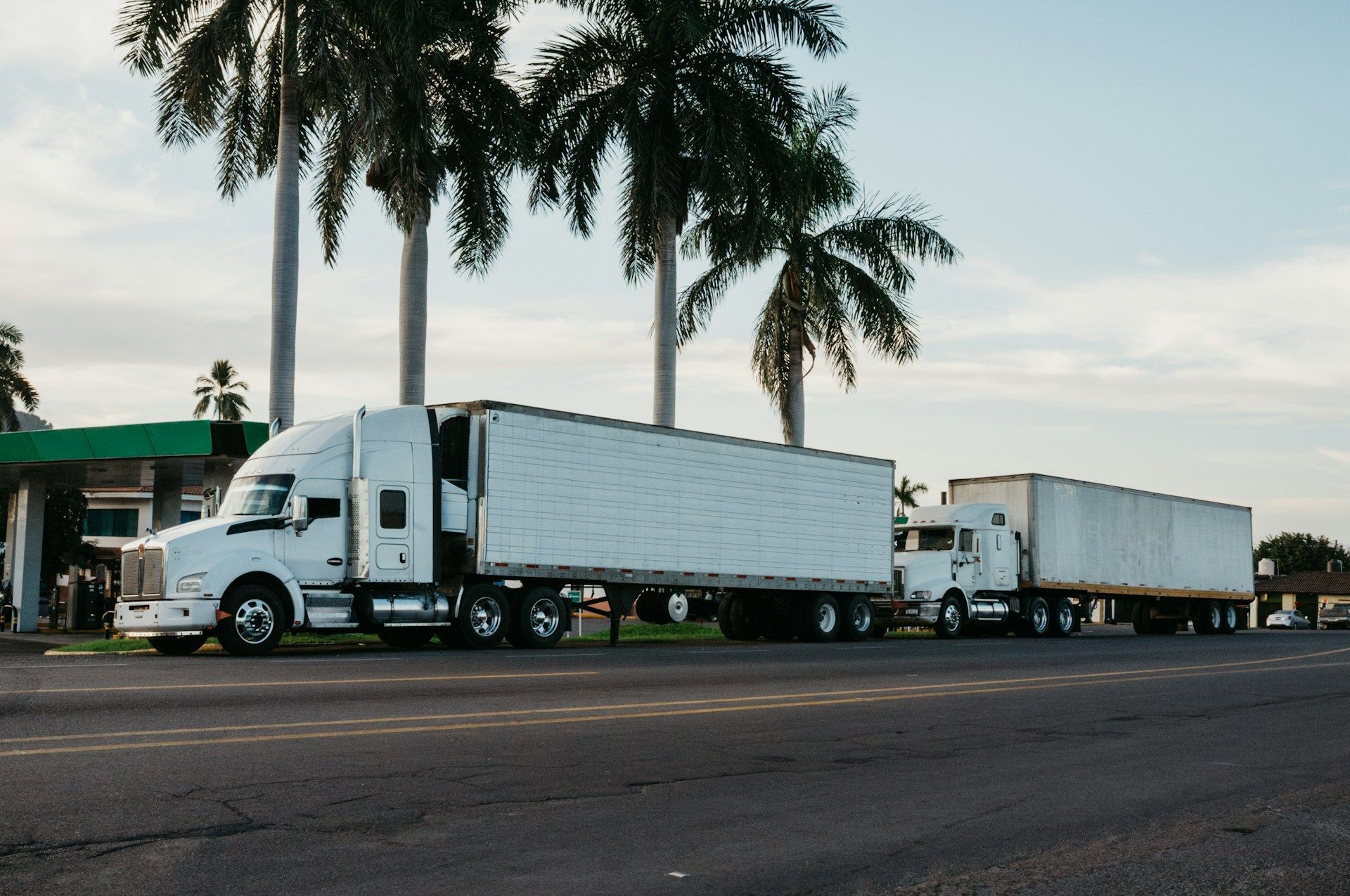 Two white semi-trucks parked by palm trees along a roadside
