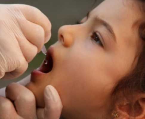 CENTRO DE INVESTIGACION, DIAGNOSTICO Y TRATAMIENTO DE ENFERMEDADES ALERGICAS Y ASMA DE TOLUCA-vacunas tomadas CENTRO DE INVESTIGACION, DIAGNOSTICO Y TRATAMIENTO DE ENFERMEDADES ALERGICAS Y ASMA DE TOLUCA-vacunas tomadas