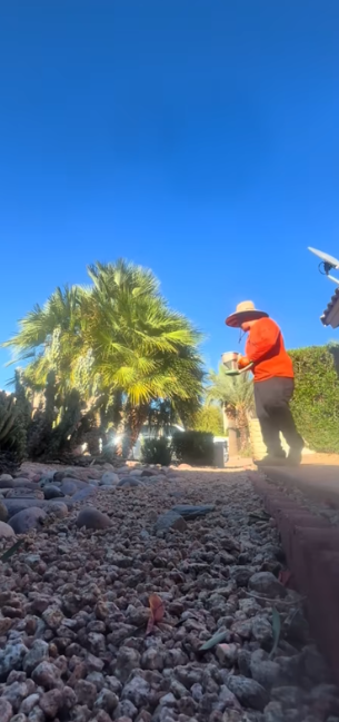 Person in orange shirt and hat working in a rocky yard with palm trees under a clear blue sky