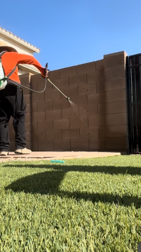 Person using a sprayer on a brown fence in a sunny backyard, with green grass in the foreground