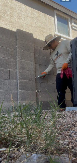 Person in a wide-brim hat points at a cinder block wall beside a house