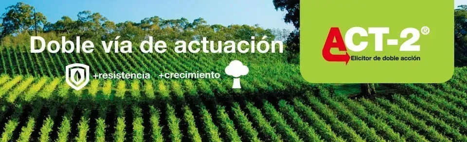 Fertilizante foliar español ACT2 para nutrición y rendimiento de cultivos agrícolas