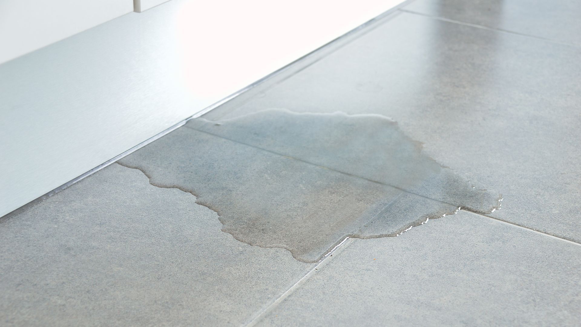 There is a puddle of water on the floor.