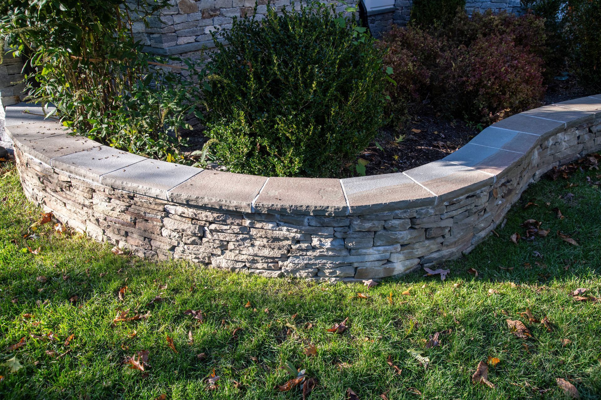 A stone wall with a plant in the middle of it.