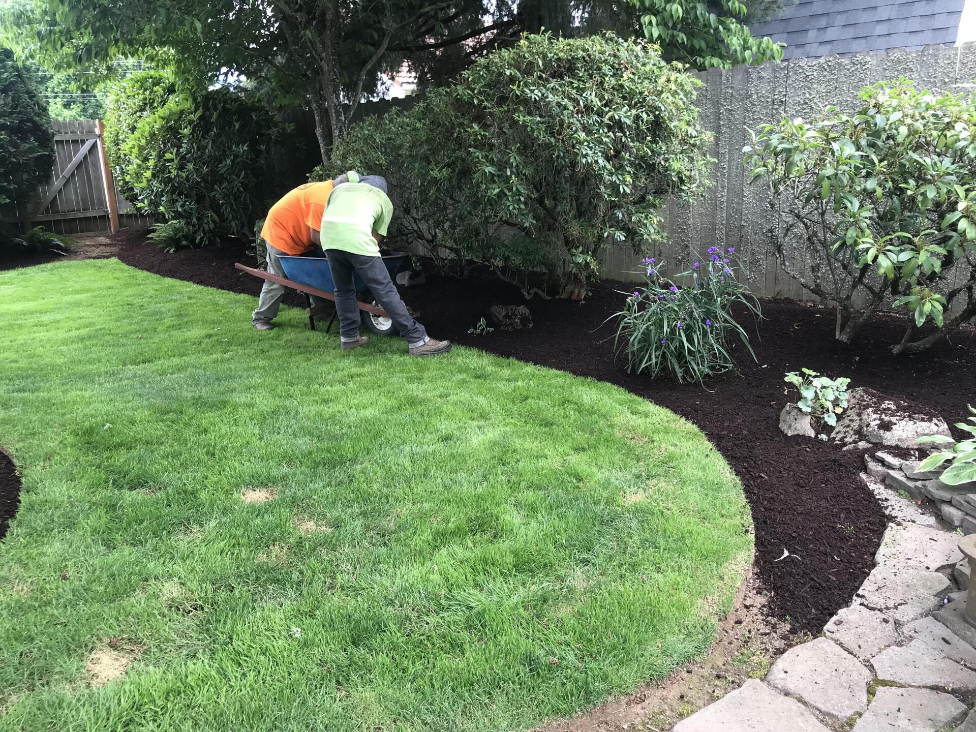 lawn care