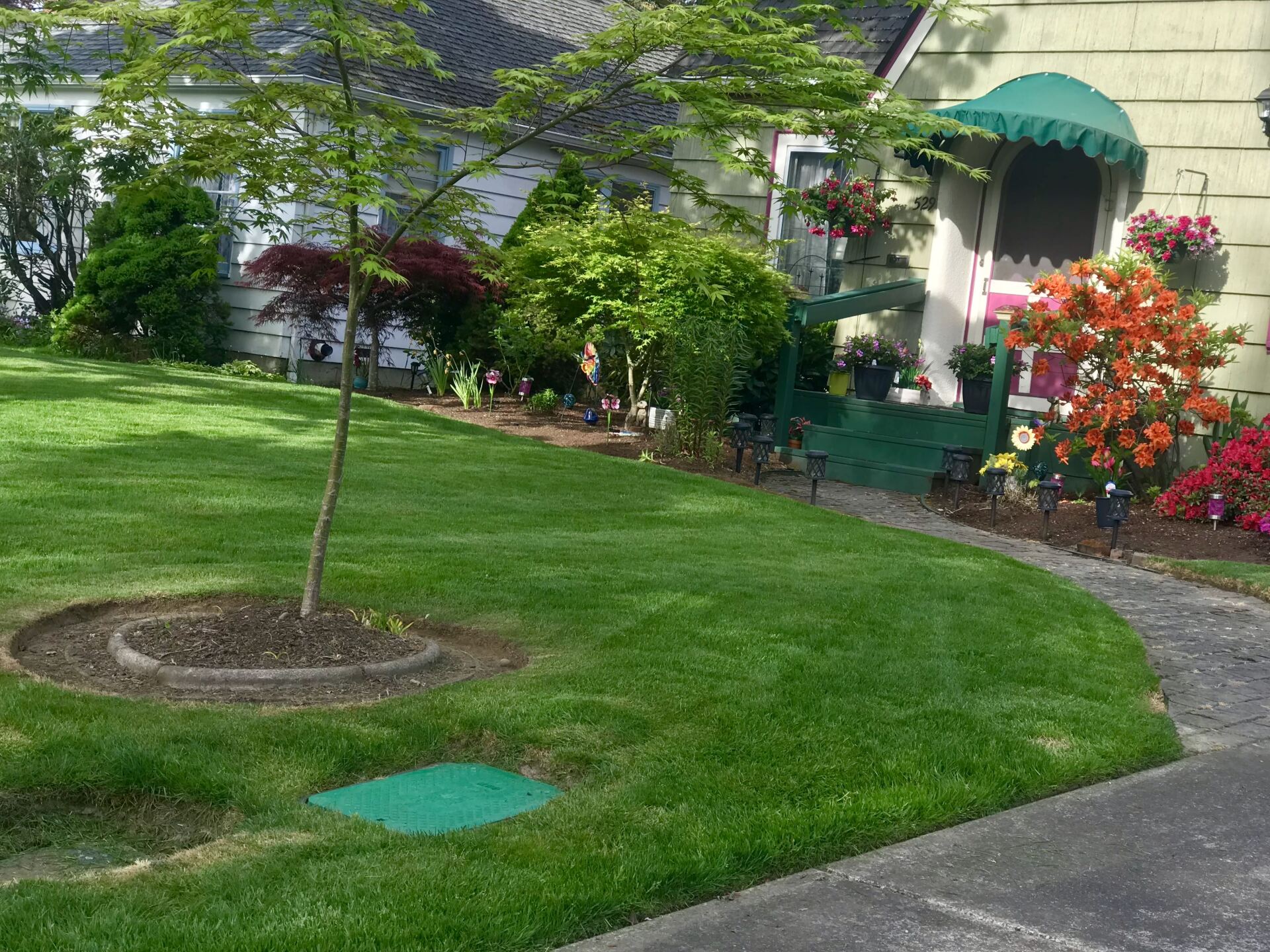 Lawn Mowing — Salem, OR — A. Lopez Lawn Care Lawn Mowing — Salem, OR — A. Lopez Lawn Care